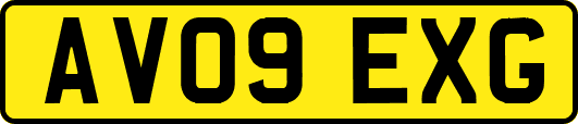 AV09EXG