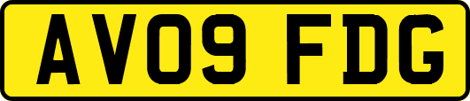 AV09FDG