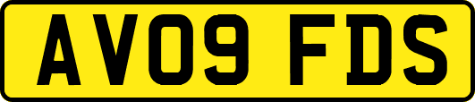 AV09FDS