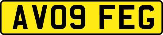AV09FEG