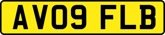 AV09FLB