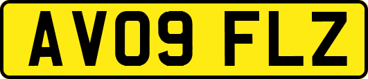 AV09FLZ