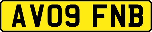 AV09FNB