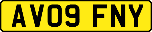 AV09FNY