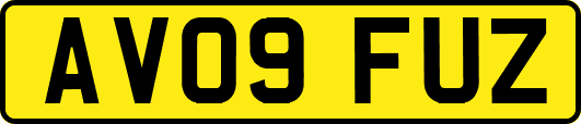 AV09FUZ