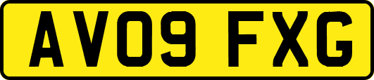 AV09FXG