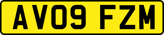 AV09FZM