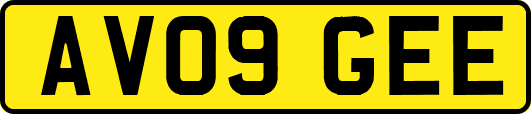 AV09GEE