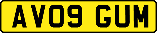 AV09GUM