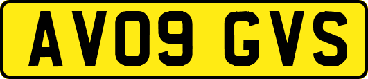 AV09GVS