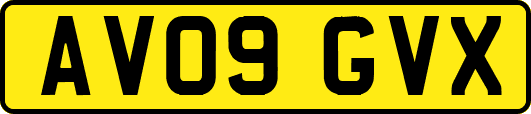 AV09GVX