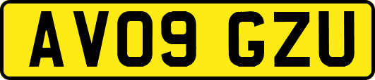 AV09GZU