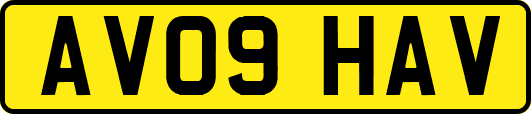 AV09HAV