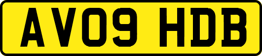 AV09HDB