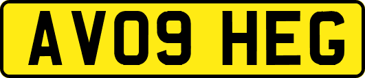 AV09HEG