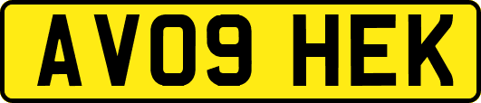 AV09HEK