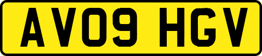 AV09HGV