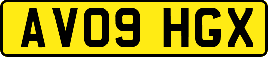 AV09HGX
