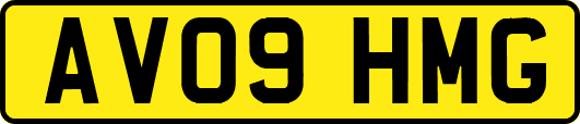 AV09HMG