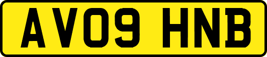 AV09HNB