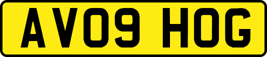 AV09HOG