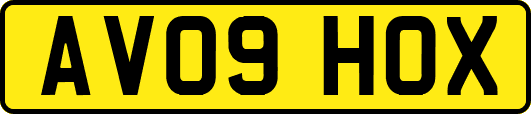 AV09HOX