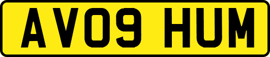 AV09HUM