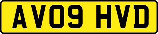 AV09HVD
