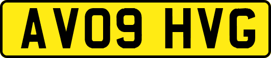 AV09HVG