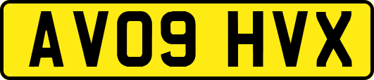 AV09HVX