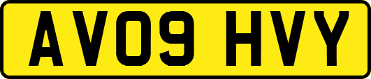 AV09HVY