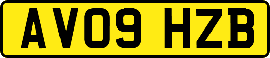 AV09HZB