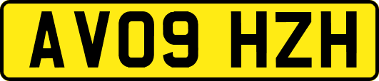 AV09HZH