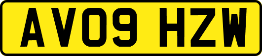 AV09HZW