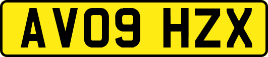 AV09HZX