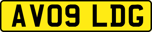 AV09LDG