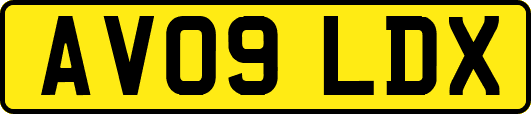 AV09LDX