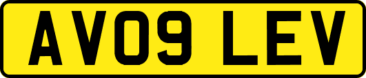 AV09LEV