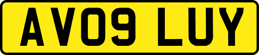 AV09LUY