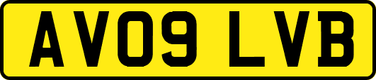 AV09LVB