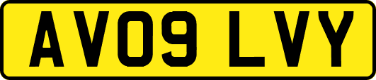 AV09LVY