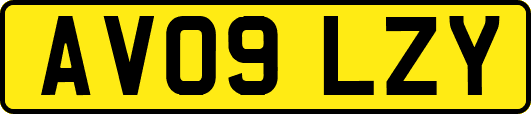 AV09LZY