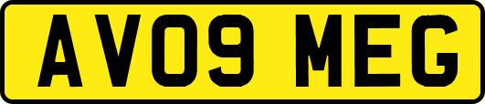AV09MEG
