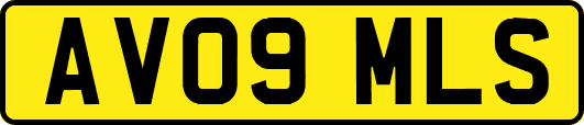 AV09MLS