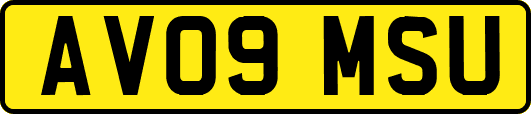 AV09MSU