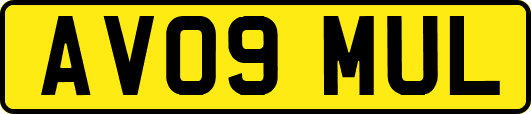 AV09MUL
