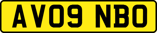 AV09NBO
