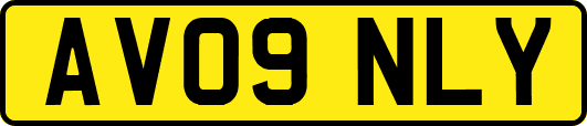 AV09NLY