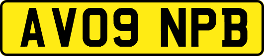 AV09NPB