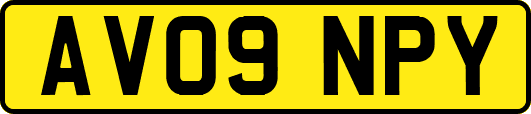 AV09NPY
